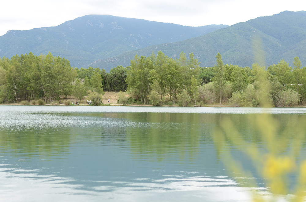 Les Micocouliers : visiter Lac De villelongue Dels Monts pyrenees orientales (66)