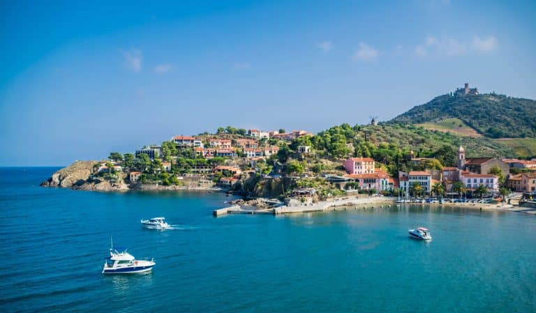 Les Micocouliers : Collioure, Côte Vermeille, France.